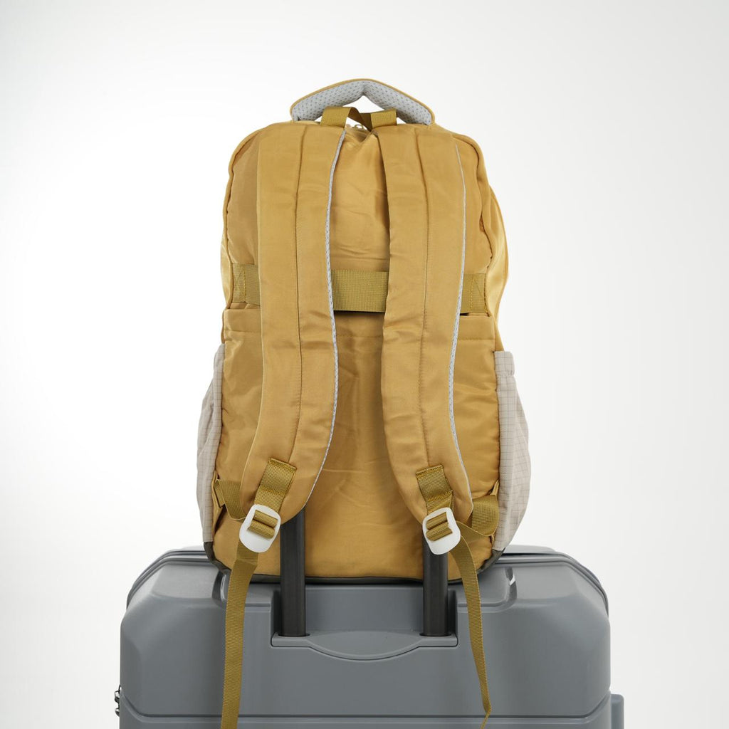 MORRAL SCHOOL 8032