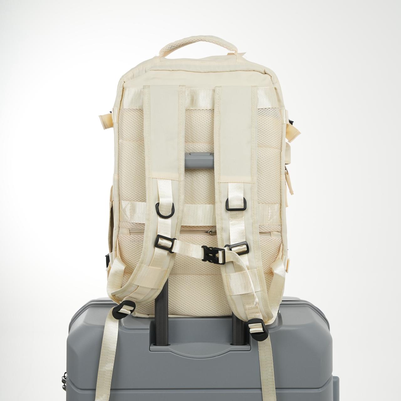 MORRAL VIRAL 2403