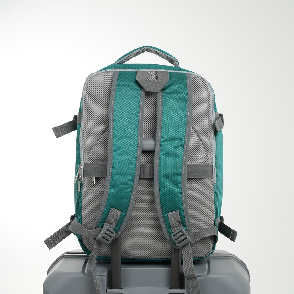 MORRAL NACIONAL LION